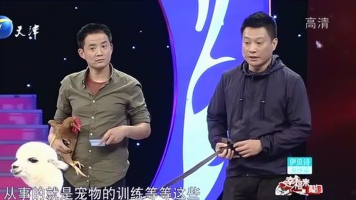 “自定义宠物桌面，打造专属萌宠乐园！”