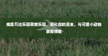 南昌万达乐园萌宠乐园，萌化你的周末，与可爱小动物亲密接触