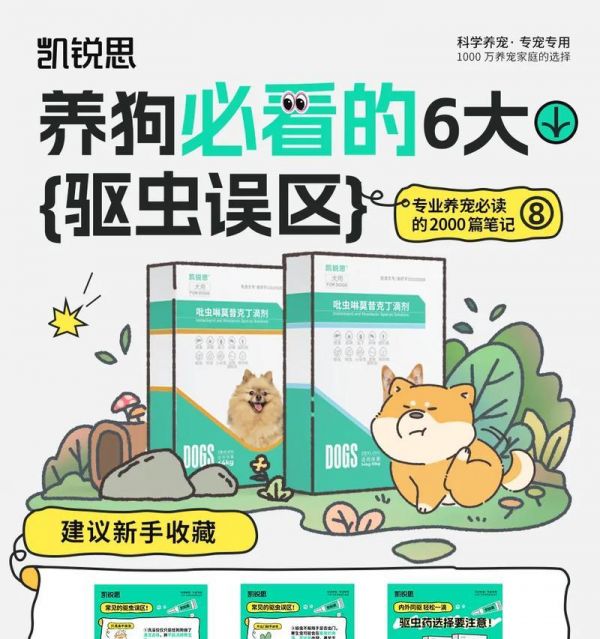 新手养狗必看的8条建议（如何照顾幼犬，让你成为合格的狗主人）