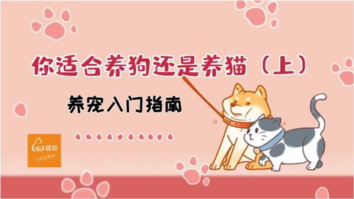 宠物入门指南:选宠与养护攻略