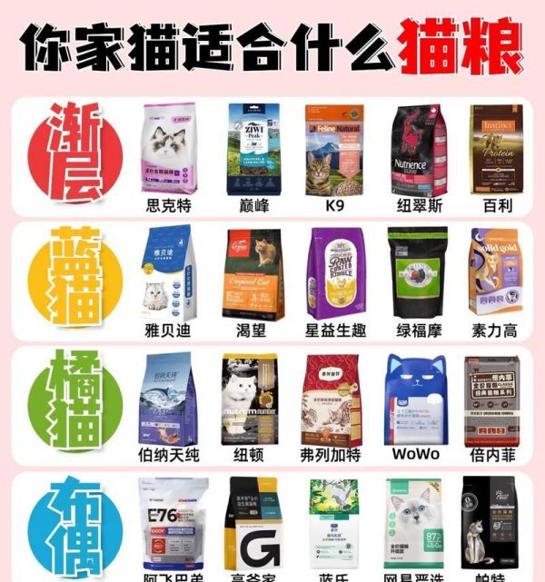 宠物猫是否只能吃猫粮？探讨宠物猫饮食多样化的必要性。