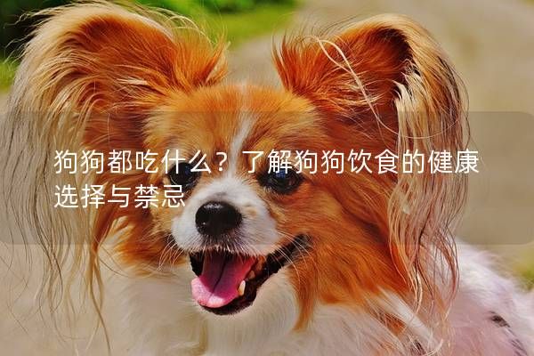 狗狗都吃什么？了解狗狗饮食的健康选择与禁忌