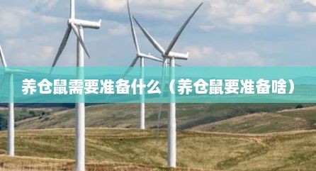 养仓鼠需要准备什么（养仓鼠要准备啥）