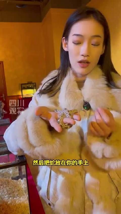 有点意思！90后蛇友讲述养蛇成就感时刻