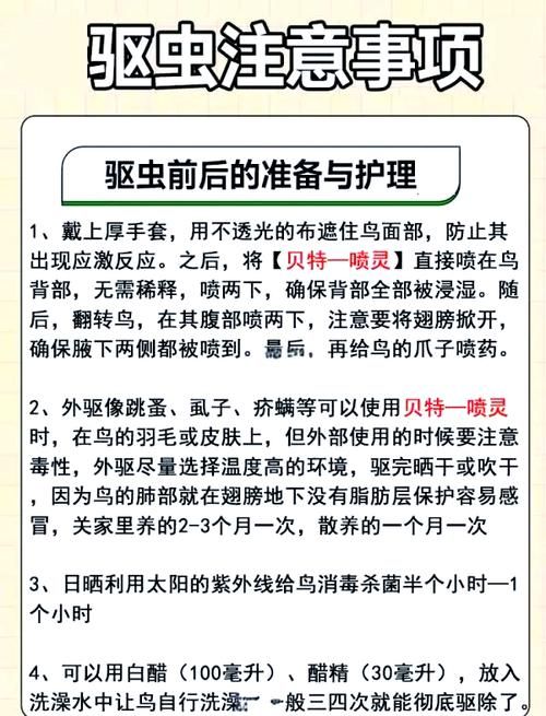 鸟类寄生虫如何清除