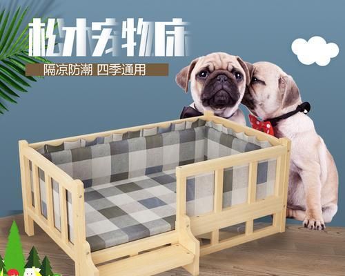 如何清理宠物狗窝（使用这些方法）