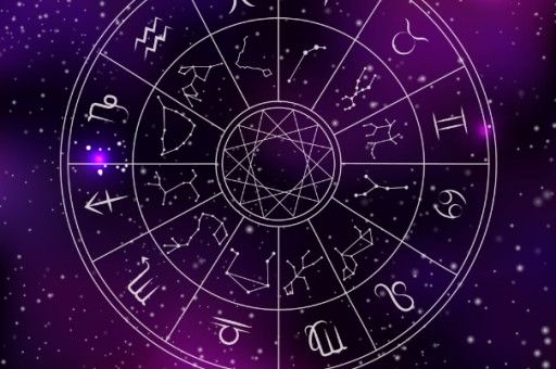 巴西猪宝宝起名字大全，巴西宠物猪