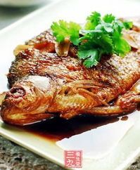 自制鱼食秘籍,肉类配方大揭秘!