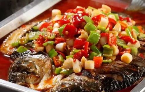 自制鱼食秘籍,肉类配方大揭秘!