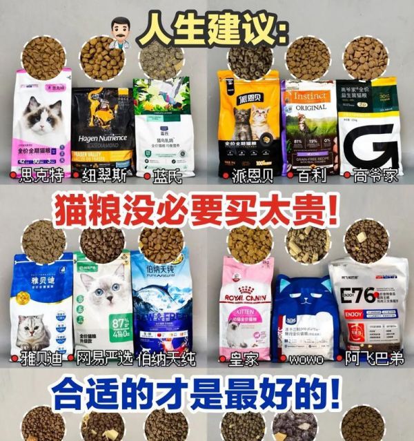 肠胃不好的小猫还能吃猫粮吗？有哪些适合的猫粮推荐？