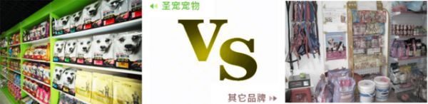 圣宠“5免5送8优势”活动开启倒计时送优惠！