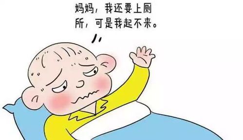 调整宠物夏季饮食,预防拉肚子。