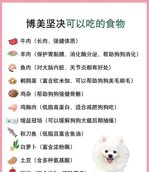 博美犬能吃猫粮吗？选择合适猫粮的注意事项是什么？
