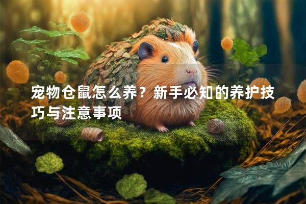 宠物仓鼠怎么养？新手必知的养护技巧与注意事项