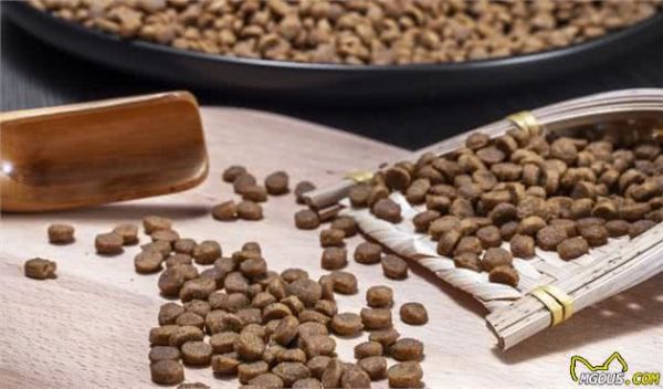 5种常见狗狗最新的标准价格，你买贵了吗？网友：贵了！
