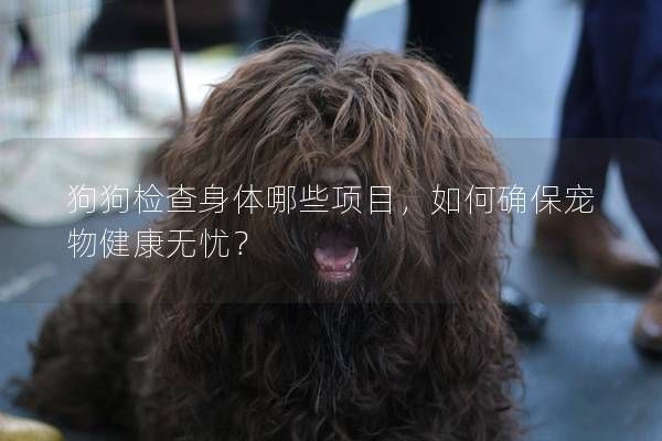 狗狗检查身体哪些项目，如何确保宠物健康无忧？