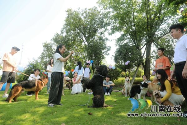 萌宠“才艺表演”.JPG