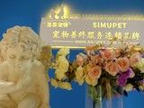 北京宠物火化-专业宠物火化服务