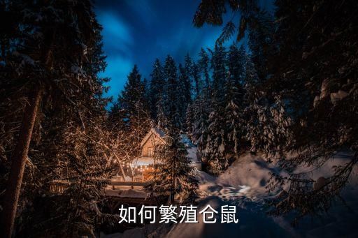 如何繁殖仓鼠