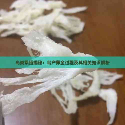 鸟类繁殖揭秘：鸟产卵全过程及其相关知识解析