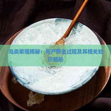 鸟类繁殖揭秘：鸟产卵全过程及其相关知识解析