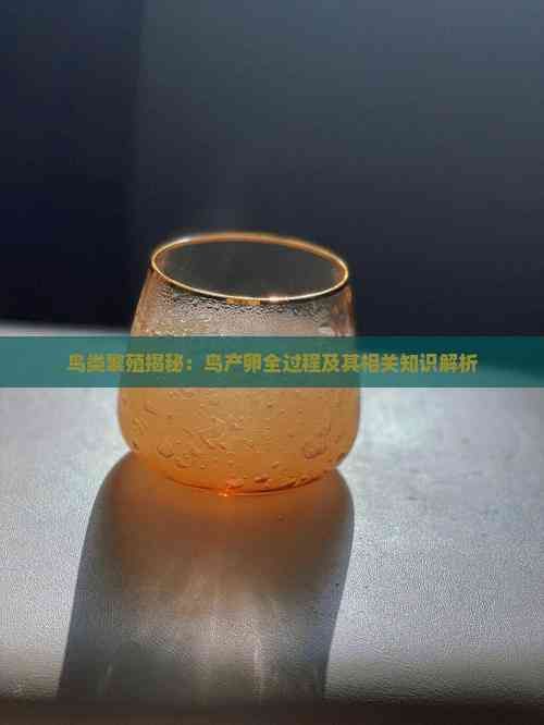 鸟类繁殖揭秘：鸟产卵全过程及其相关知识解析