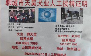 喷射X神奇小鸟 900215000112366，NLAQ1612.jpg