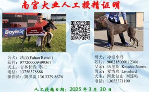 法汉X神奇小鸟 900215000112366，NLAQ1612.jpg