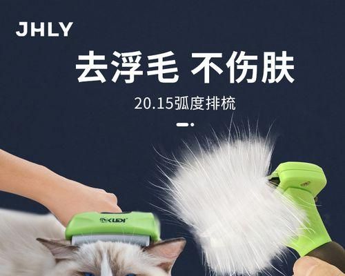 猫咪清洁用品分析——让你的爱猫健康舒适（探究猫咪清洁用品的种类和使用方法）