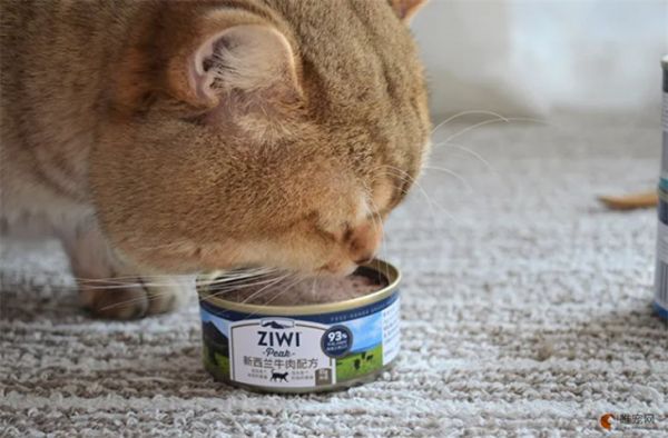 最受猫咪喜爱的猫罐头排行榜 哪些品牌品质好