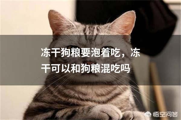 冻干狗粮要泡着吃，冻干可以和狗粮混吃吗