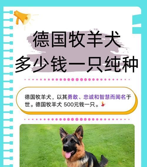 一个好的德牧多少钱？购买德牧需要注意什么？