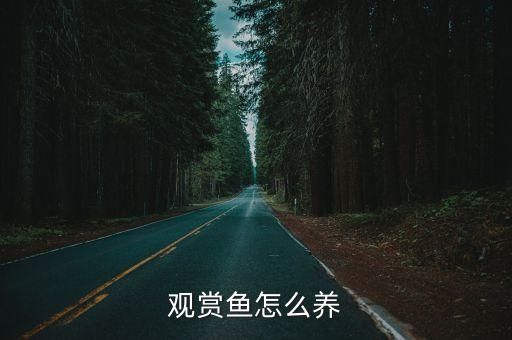 观赏鱼怎么养