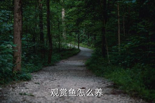 观赏鱼怎么养
