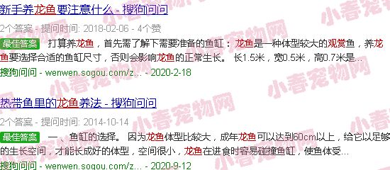 观赏龙鱼