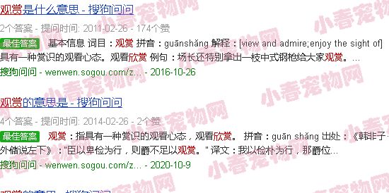 观赏龙鱼图片