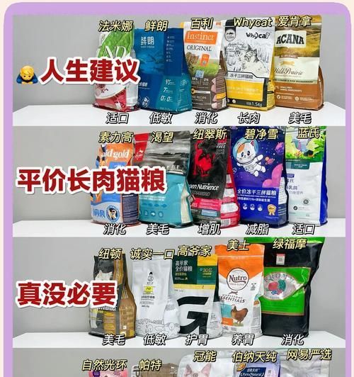 大型猫笼子和猫粮的选购指南是什么？