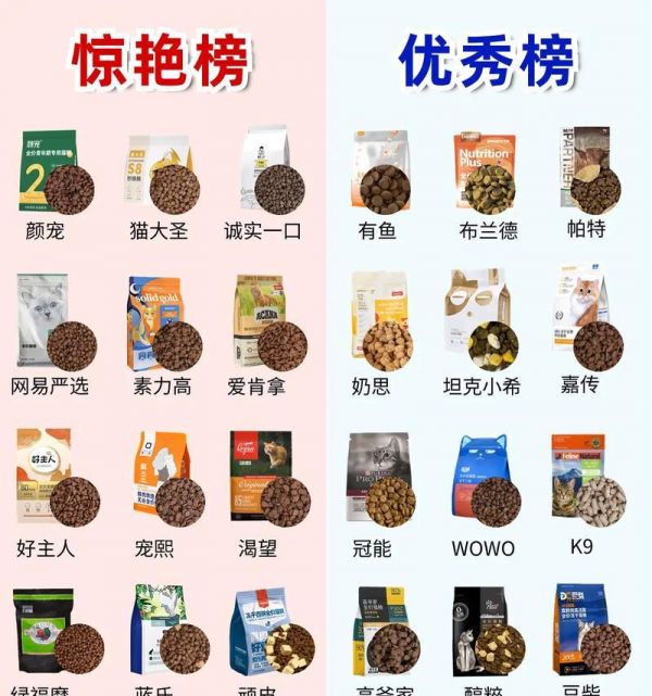健康猫粮选择指南：哪种猫粮最适合您的猫咪？