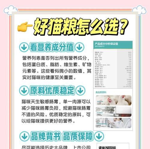家中三只猫的猫粮选择指南是什么？如何平衡营养？