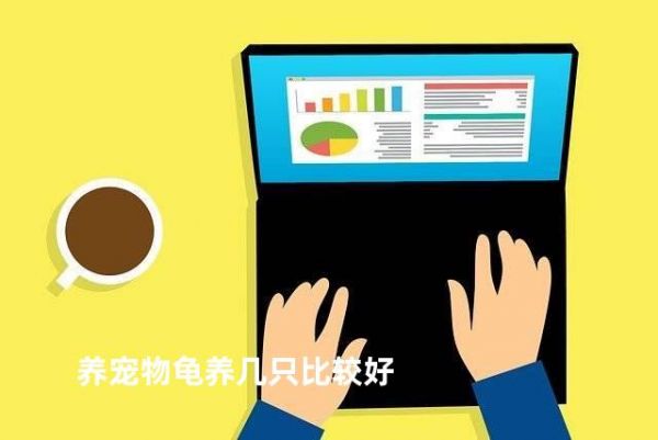 养宠物龟养几只比较好