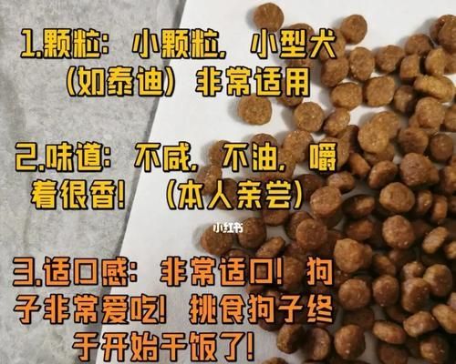狗粮选购指南（如何选择适合你宠物的狗粮？）