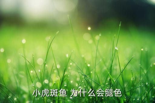 小虎斑鱼 为什么会腿色