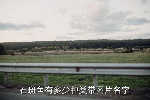 石斑鱼有多少种类带图片名字