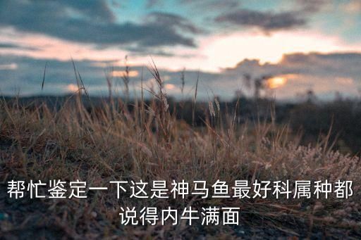 帮忙鉴定一下这是神马鱼最好科属种都说得内牛满面