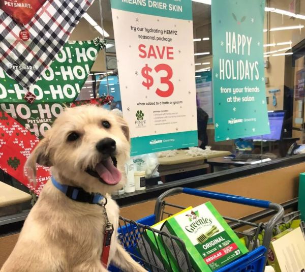 petsmart