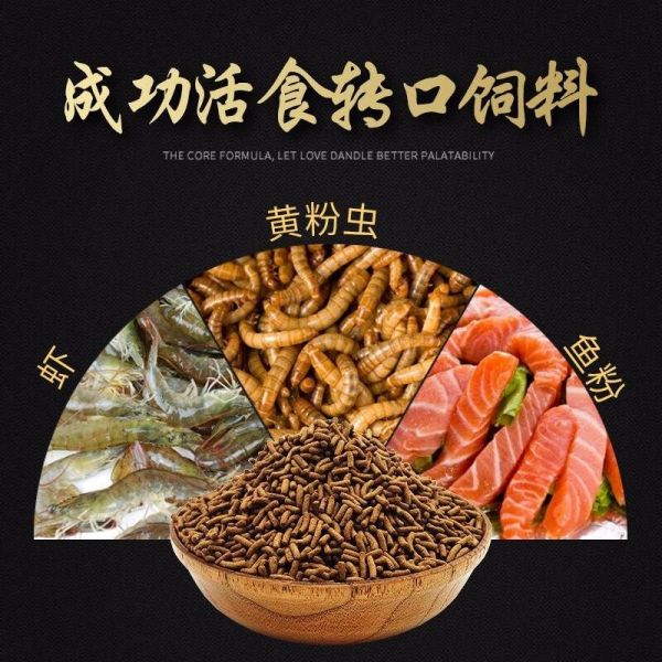 PORPOISE海豚（宠物）龙鱼鱼粮（porpoise/海豚鱼粮/饲料哪款好） 龙鱼之家 第1张
