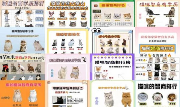 猫咪智商排名大全