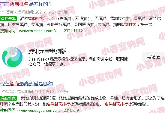 猫咪智商排名大全