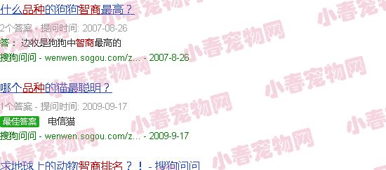 猫咪品种智商排行