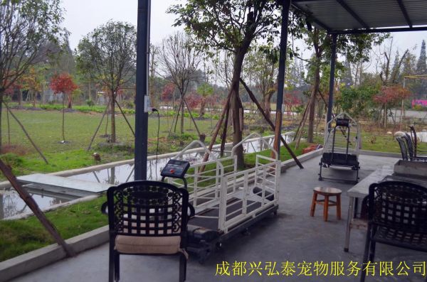 成都训犬基地